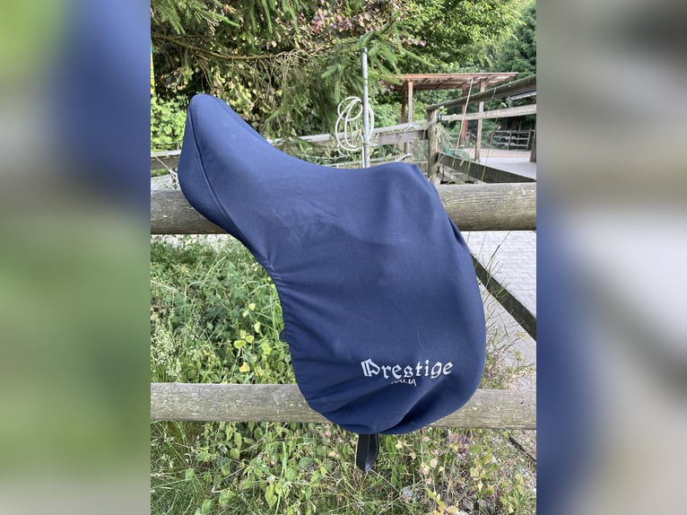 Prestige Elastic Professional Springsattel 17 Zoll