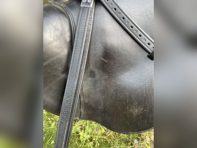 Prestige Elastic Professional Springsattel 17 Zoll