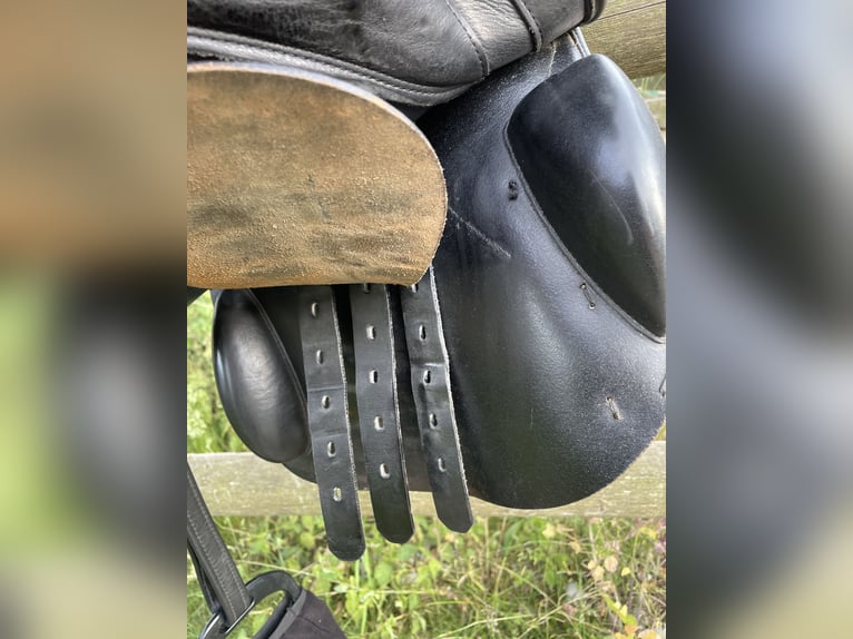 Prestige Elastic Professional Springsattel 17 Zoll