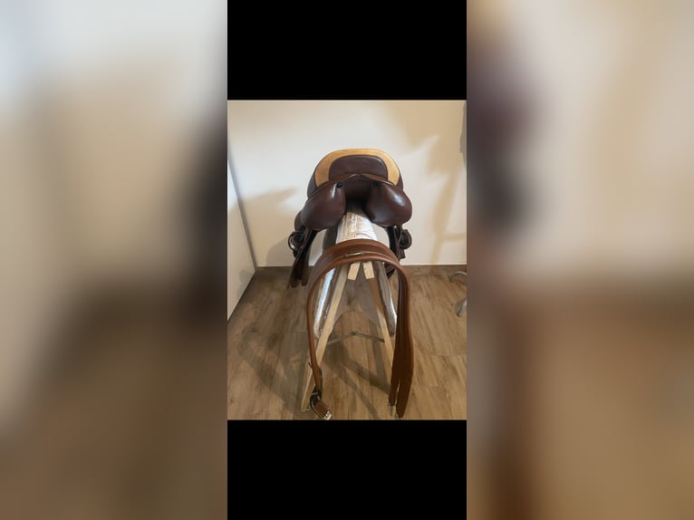 Prestige Elastic Professionell 