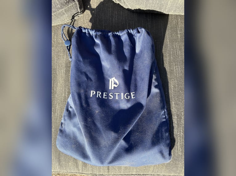 Prestige Instinct CPS Springsattel (2024) - Top Zustand -