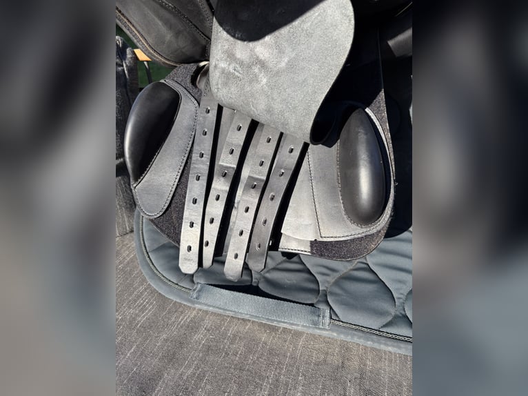 Prestige Instinct CPS Springsattel (2024) - Top Zustand -