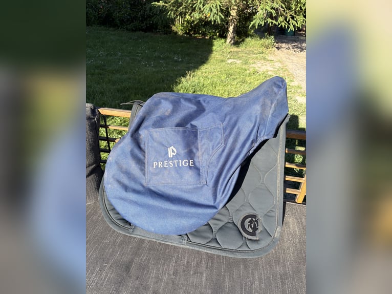 Prestige Instinct CPS Springsattel (2024) - Top Zustand -