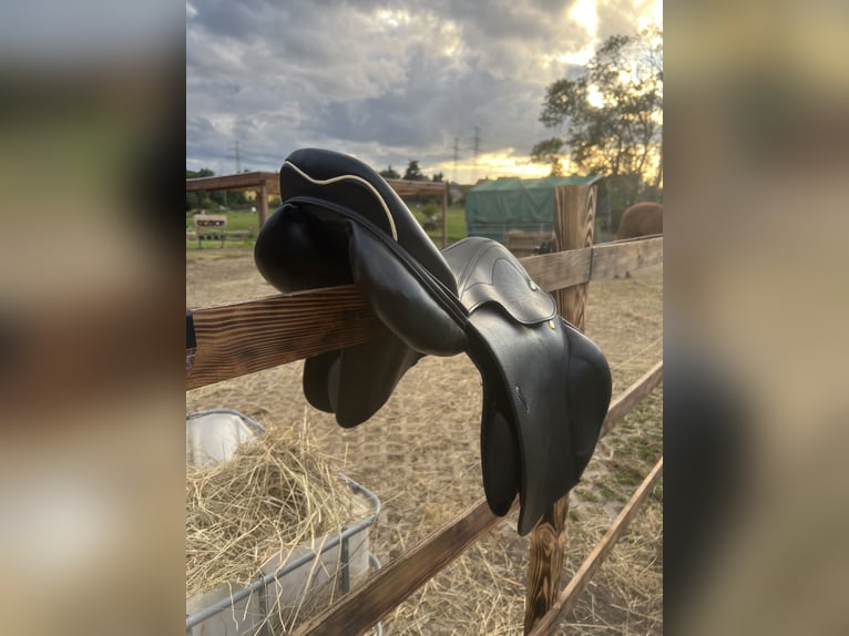 Prestige Joy Jumper Springsattel