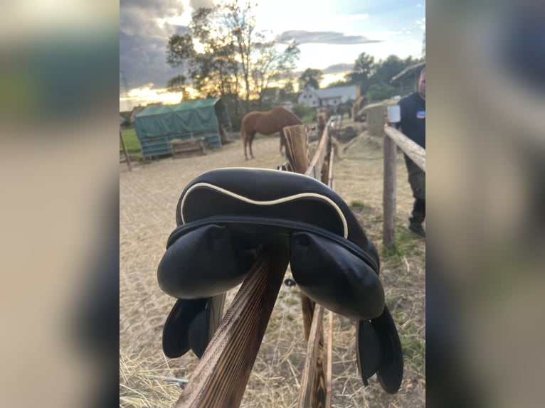 Prestige Joy Jumper Springsattel