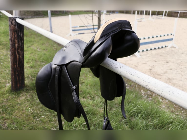 Prestige Rialto Springsattel - guter Zustand