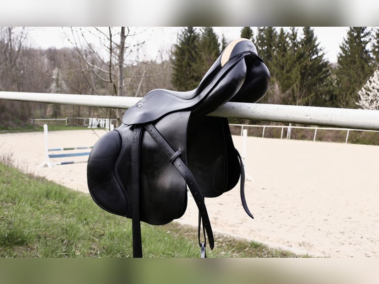 Prestige Rialto Springsattel - guter Zustand