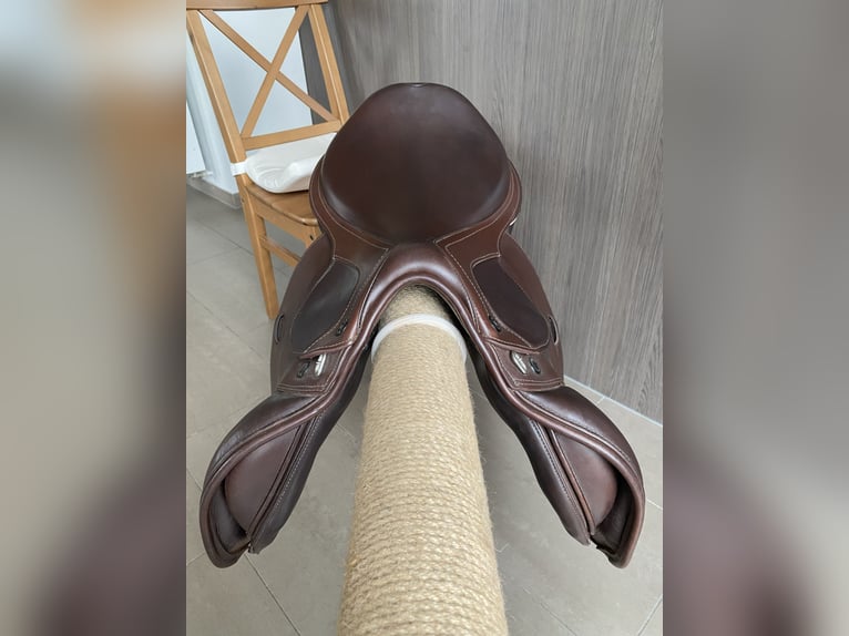 Prestige Rubino MF AS-X