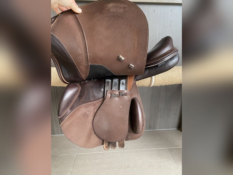 Prestige Rubino MF AS-X