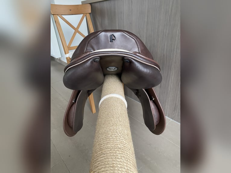 Prestige Rubino MF AS-X