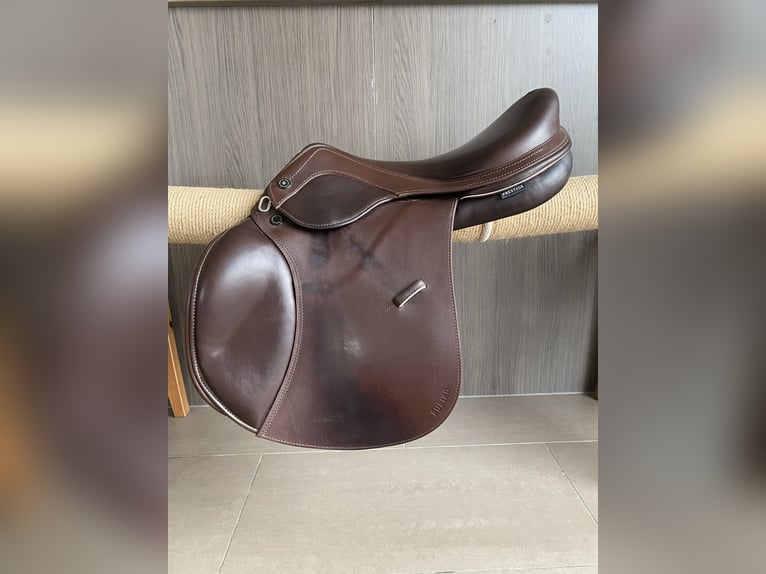 Prestige Rubino MF AS-X