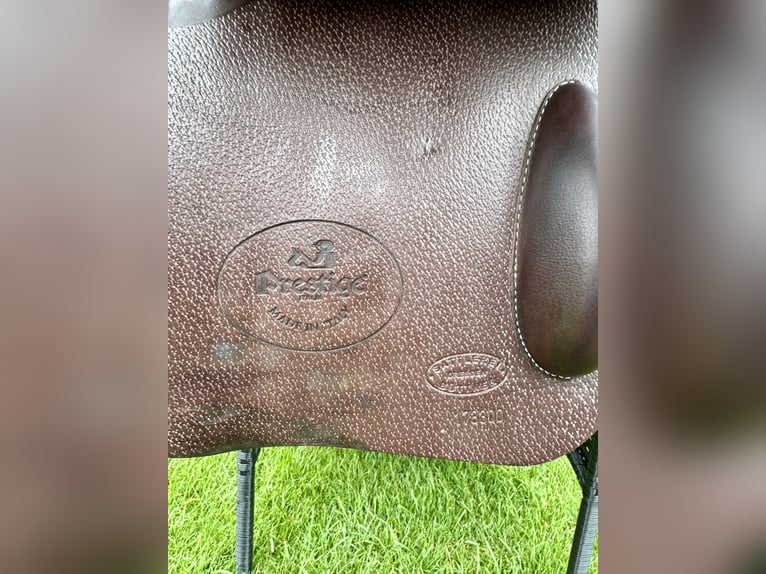 Prestige Springsattel 17 Zoll - 2023 