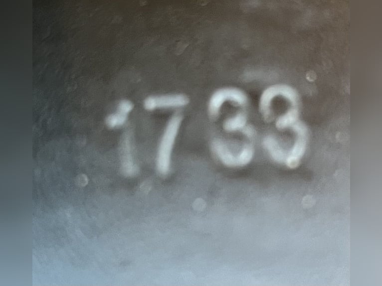 Prestige Springsattel COMO