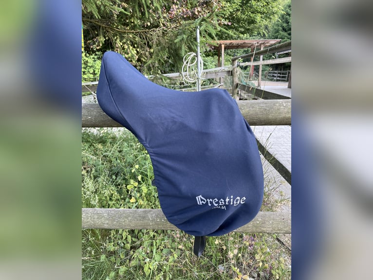 +++ Prestige Springsattel Elastic Professional +++