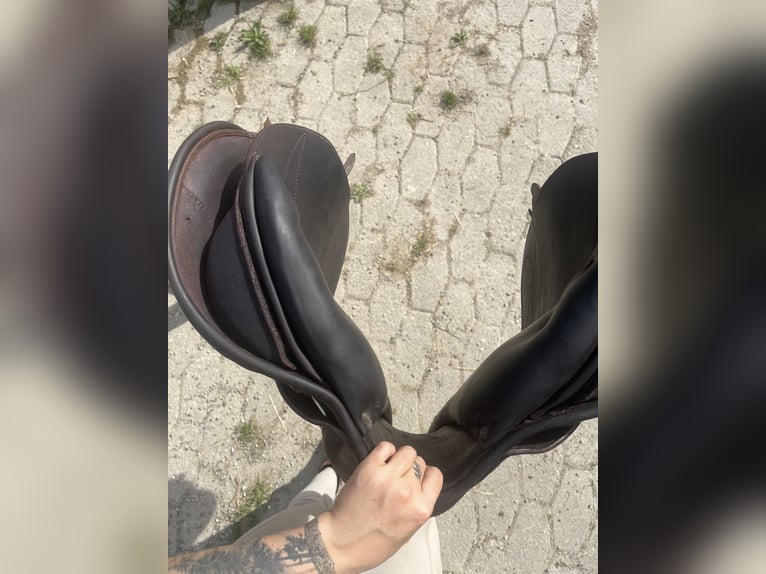 Prestige Springsattel Paris Classic