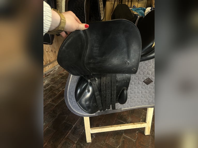 Prestige Venezia 17 32