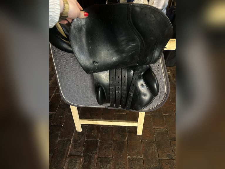 Prestige Venezia 17 32