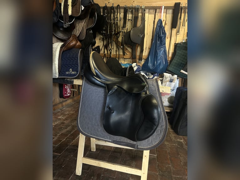 Prestige Venezia 17 32