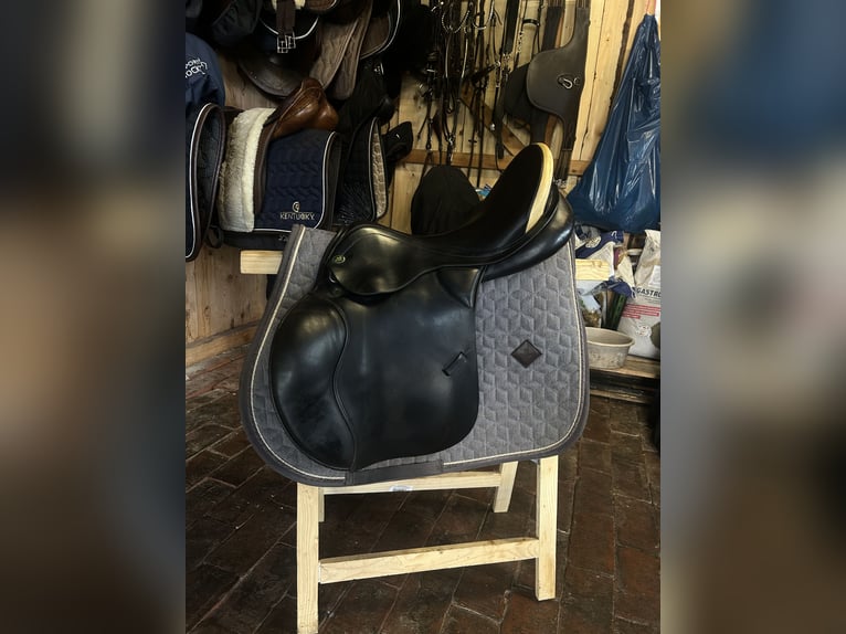 Prestige Venezia 17 32