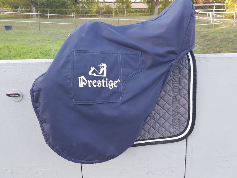 Prestige Venezia 17/33 - Gepflegt und in Top Zustand