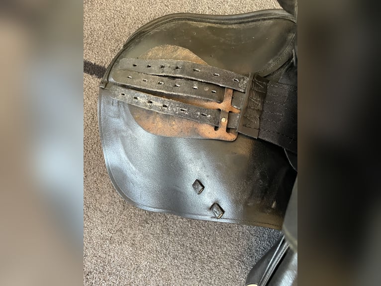 Prestige Venezia 18/32