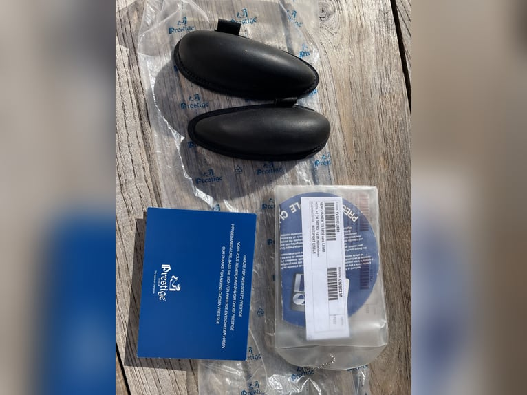 Prestige Venezia 18/32