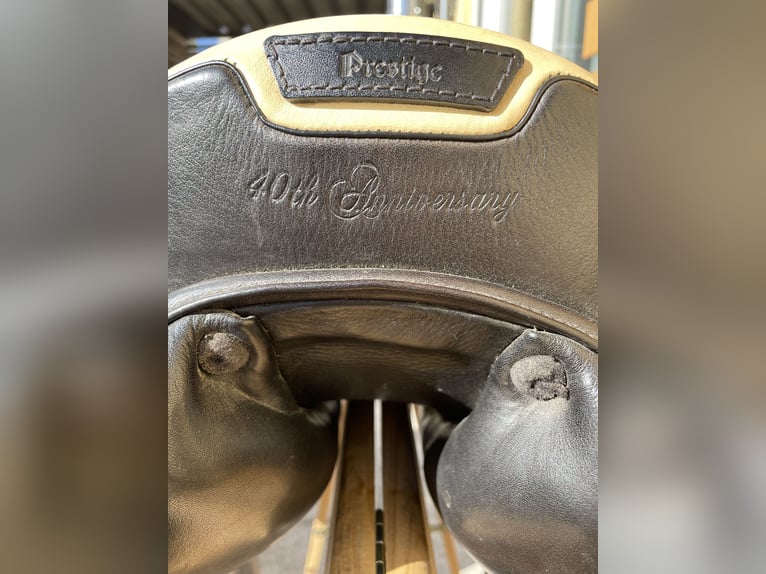 Prestige Venezia 18/32