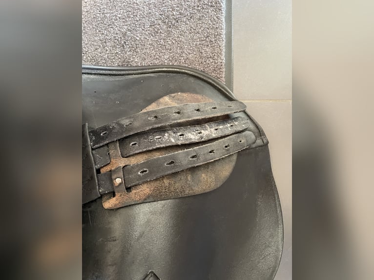 Prestige Venezia 18/32