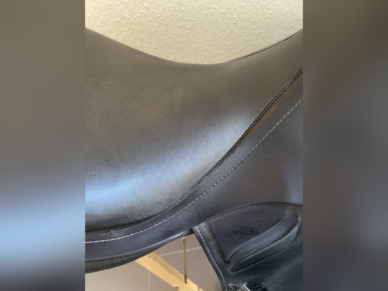 Prestige Venezia 18/32