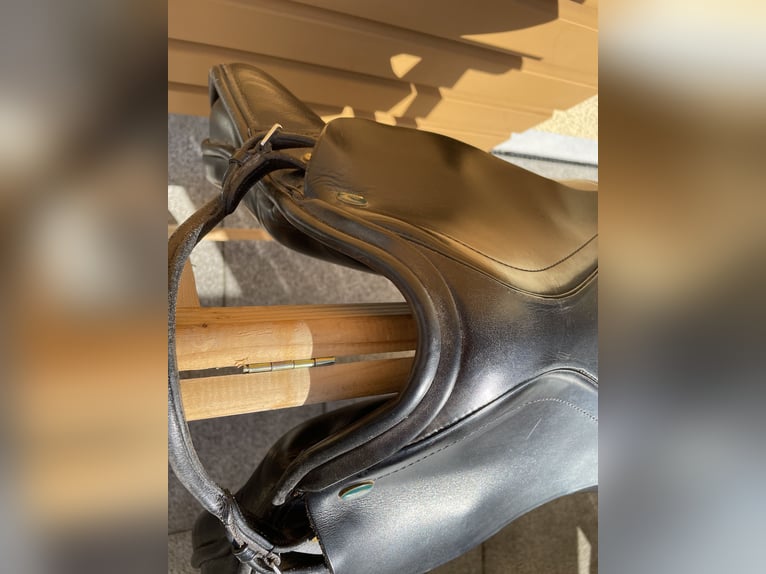 Prestige Venezia 18/32