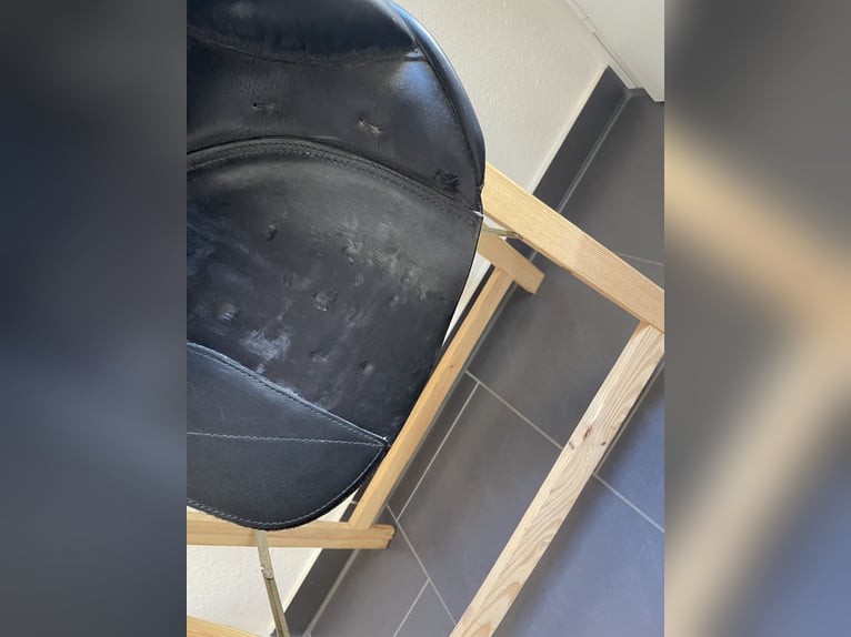 Prestige Venezia 18/32