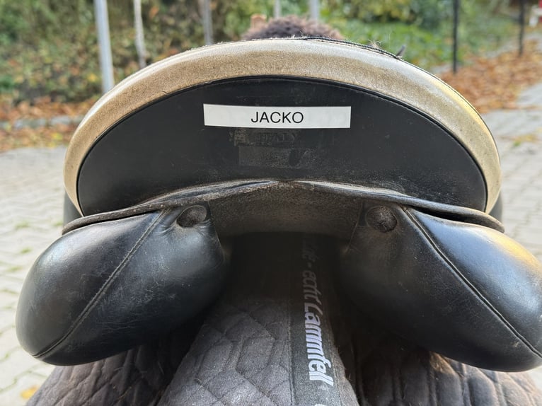 Prestige Venezia  Prestige Venezia