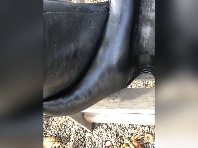 Prestige Venezia  Prestige Venezia