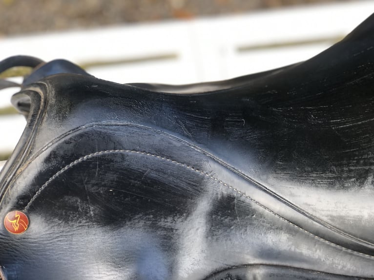 Prestige Venezia  Prestige Venezia