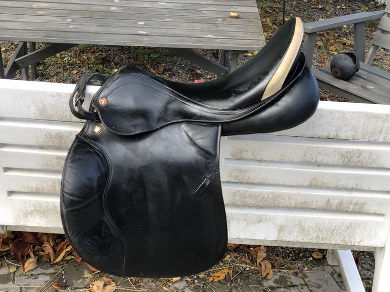 Prestige Venezia  Prestige Venezia