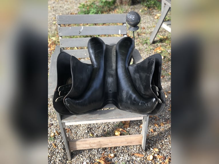 Prestige Venezia  Prestige Venezia