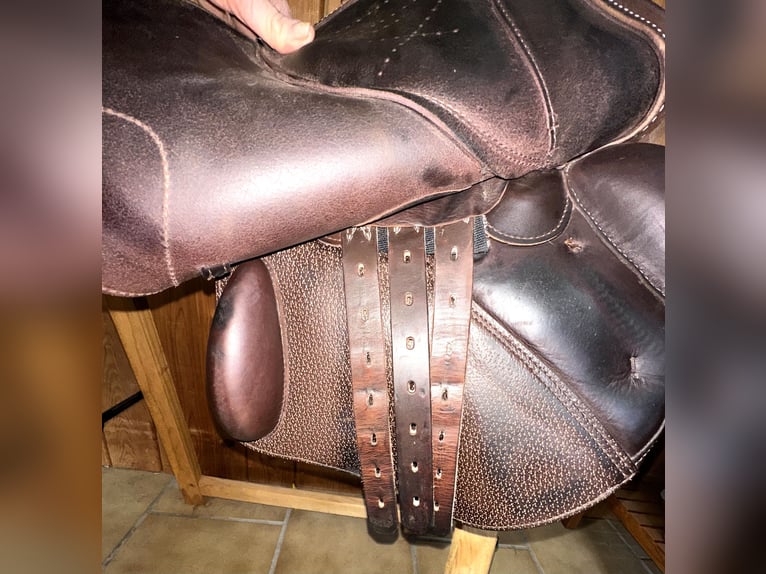 Prestige X-Perience Springsattel in braun 