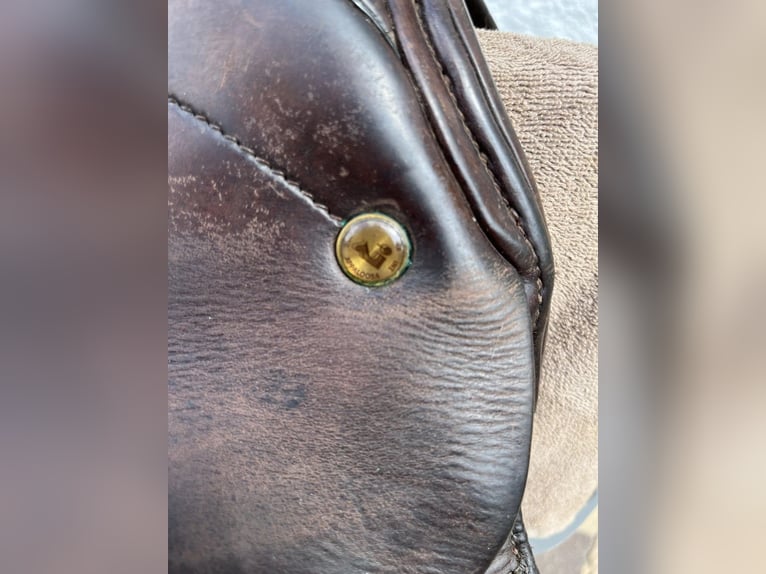 Sattel Appaloosa Venezia englischer Springreiter und komplett 17,5