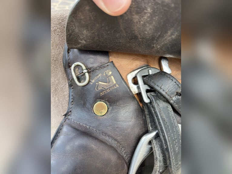 Sattel Appaloosa Venezia englischer Springreiter und komplett 17,5