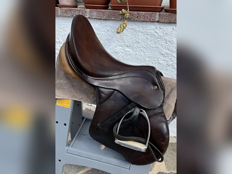 Sattel Appaloosa Venezia englischer Springreiter und komplett 17,5