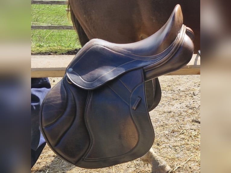 Schleese Springsattel 17"