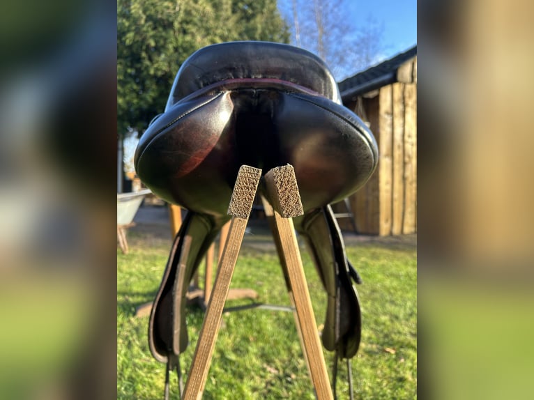 Schockemöhle Cliff Barnsby 17"