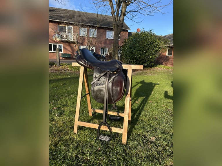 Schockemöhle Cliff Barnsby 17"