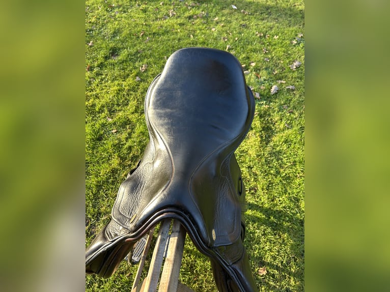 Schockemöhle Cliff Barnsby 17"