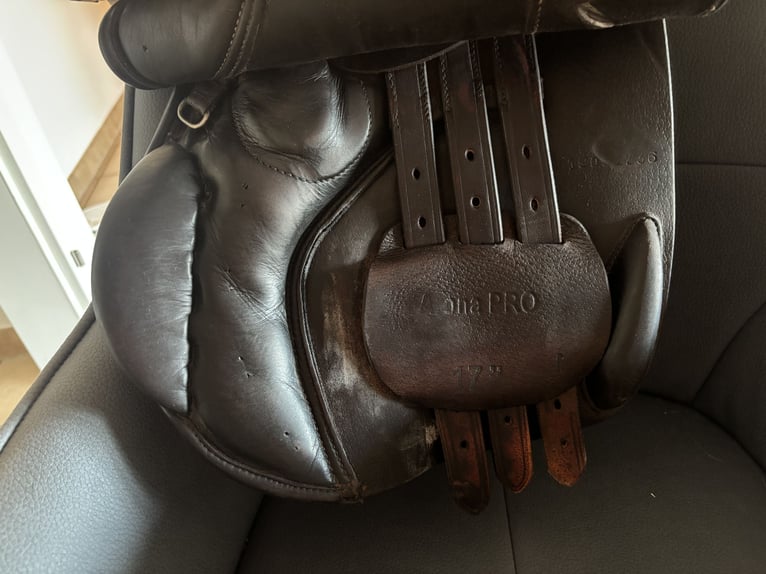 Seabis Arona Pro 17 Zoll