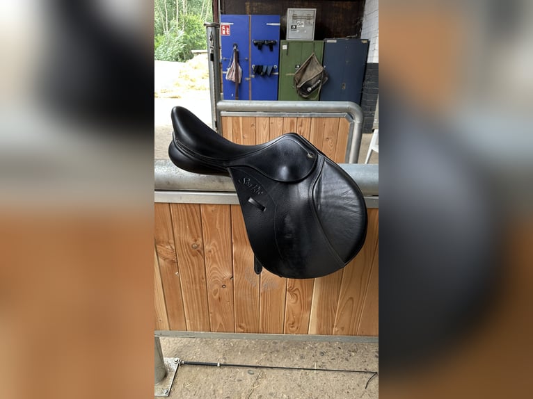 SeaBis spring Sattel 