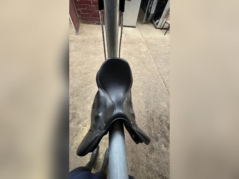 SeaBis spring Sattel 