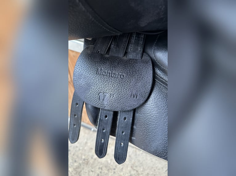 SeaBis spring Sattel 