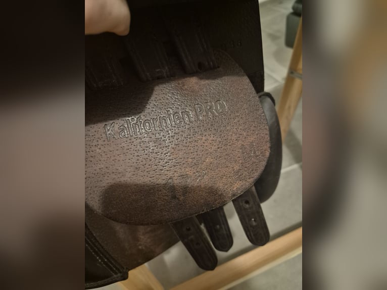 Seabis Springsattel Kalifornien