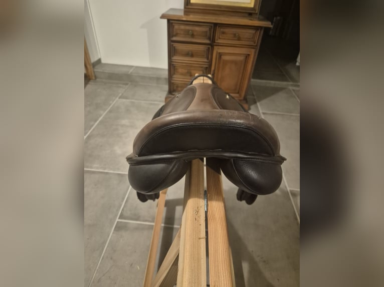 Seabis Springsattel Kalifornien